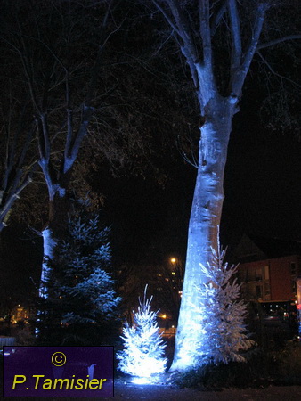 2008-12-15 20-23-00.JPG - Weihnachtszeit in den Vogesen